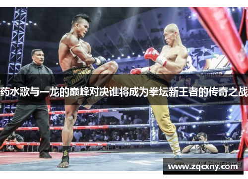 药水歌与一龙的巅峰对决谁将成为拳坛新王者的传奇之战