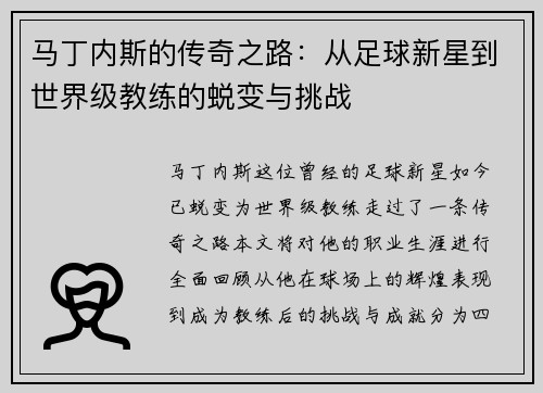 马丁内斯的传奇之路：从足球新星到世界级教练的蜕变与挑战